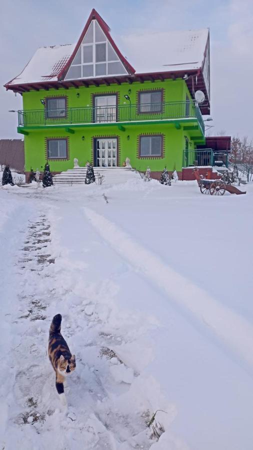 La Capra Vecinului Villa Oglinzi Ngoại thất bức ảnh
